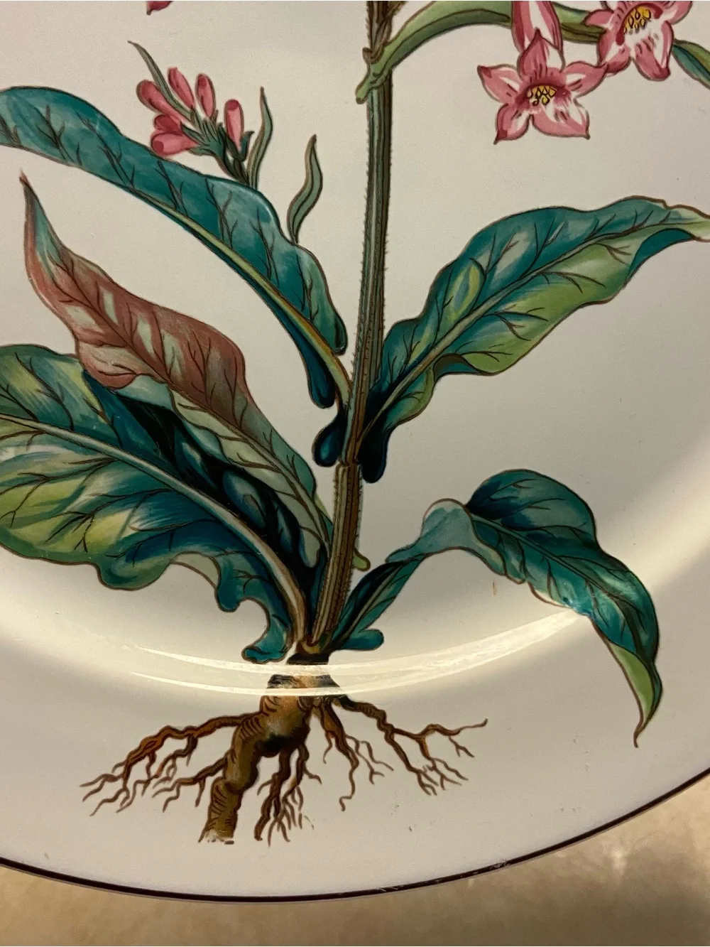 Villeroy & Boch Botanica Nicotiana Tabacum 12.5” Chop Plate Platter Porcelain  E